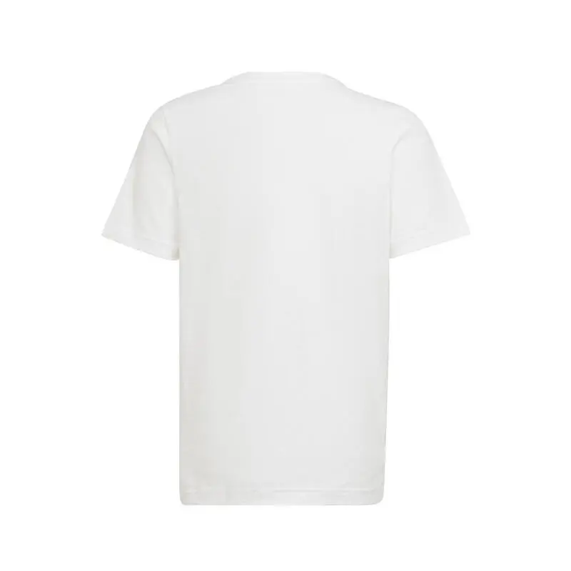 ADIDAS Camiseta Real Madrid 2022 Winner - Equipación Oficial de Fútbol 4 ADIDAS Camiseta Real Madrid 2022 Winner - Equipación Oficial de Fútbol - Imagen 2