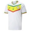 Camiseta Senegal Local 22/23 Réplica Hombre PUMA | Fútbol Oficial -Running comercio camiseta senegal local 2223 replica hombre puma