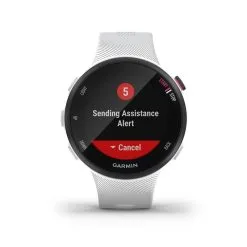 Garmin Forerunner 45 S - Reloj GPS con Pulsómetro en Muñeca, Color Blanco - Ideal para Running -Running comercio garmin forerunner 45 s reloj gps pulsometro mueca blanco 3