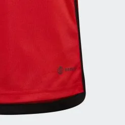 ADIDAS Miniconjunto Primera Equipación Bélgica 22 - Fútbol/Ropa y equipamiento -Running comercio miniconjunto primera equipacion belgica 22 4