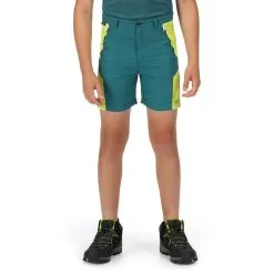 Regatta Pantalones Cortos Sorcer II Diseño Montaña para Niños/Niñas - Verde Pacífico, Kiwi - Running Niños 11 Regatta Pantalones Cortos Sorcer II Diseño Montaña para Niños/Niñas - Verde Pacífico, Kiwi - Running Niños -Running comercio pantalones cortos sorcer ii diseo montaa para niosnias verde pacifico kiwi 3