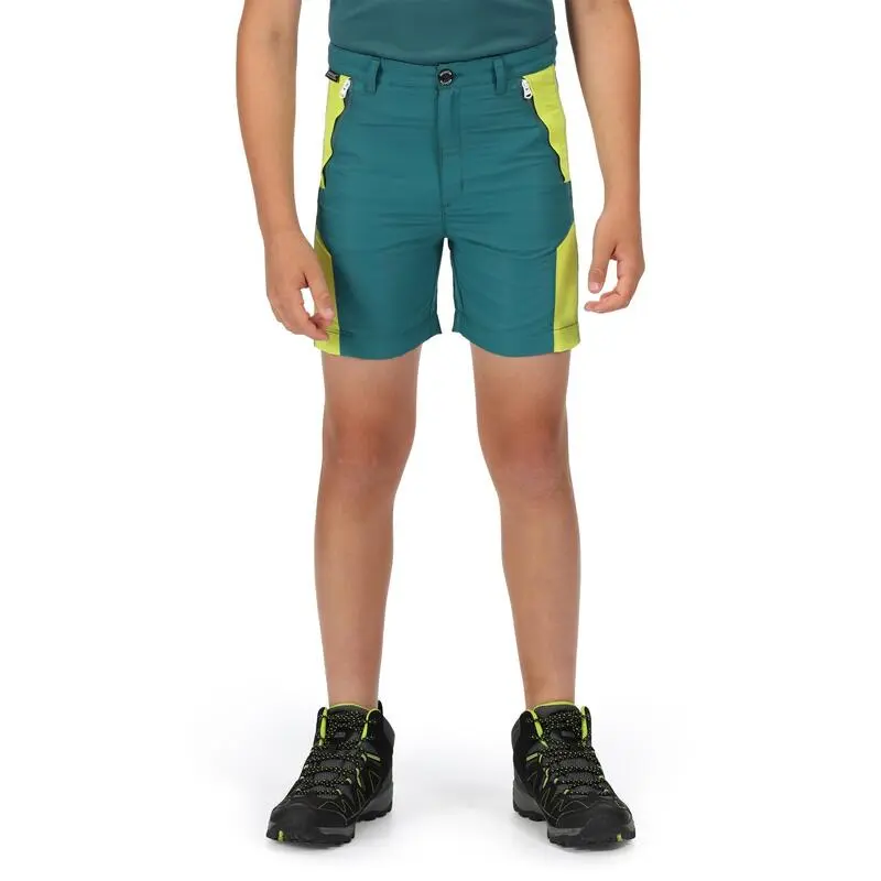 Regatta Pantalones Cortos Sorcer II Diseño Montaña para Niños/Niñas - Verde Pacífico, Kiwi - Running Niños 6 Regatta Pantalones Cortos Sorcer II Diseño Montaña para Niños/Niñas - Verde Pacífico, Kiwi - Running Niños - Imagen 4