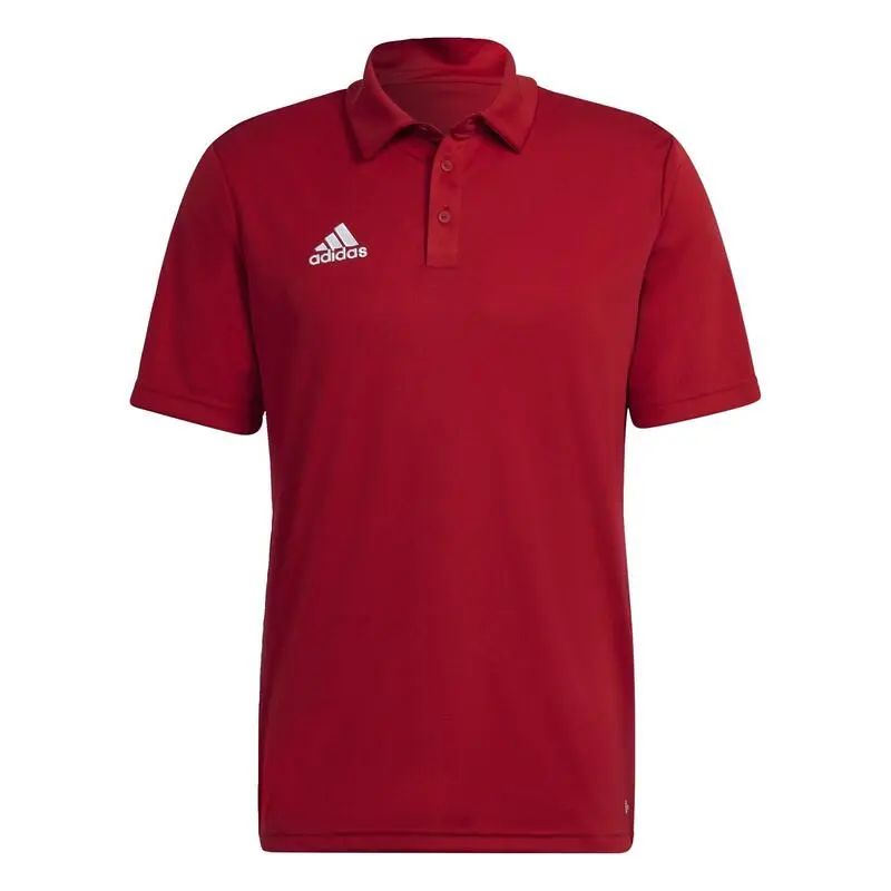 ADIDAS Polo Entrada 22 - Camiseta de Fútbol Oficial para Hombre 5 ADIDAS Polo Entrada 22 - Camiseta de Fútbol Oficial para Hombre - Imagen 3
